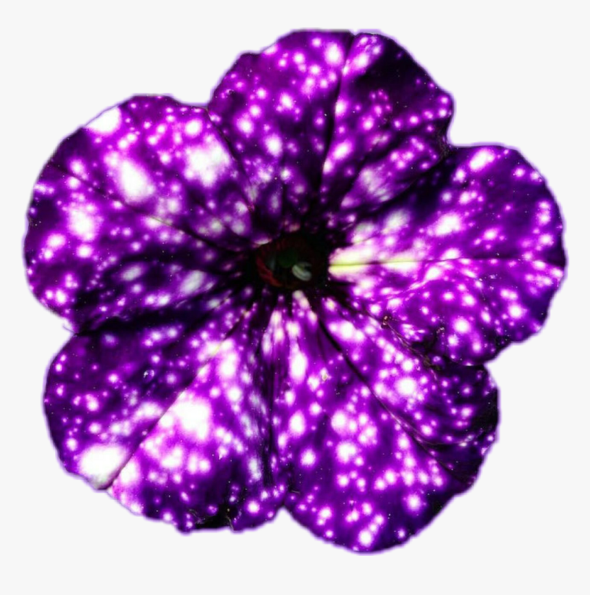 Galaxy Flowers, HD Png Download, Free Download