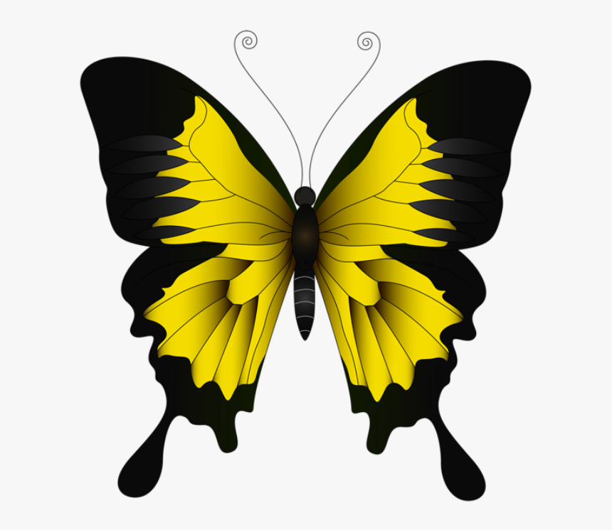 Borboleta Amarela E Preta, HD Png Download, Free Download