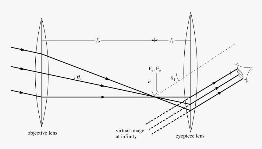 Pplato Flap Phys Optical, HD Png Download, Free Download