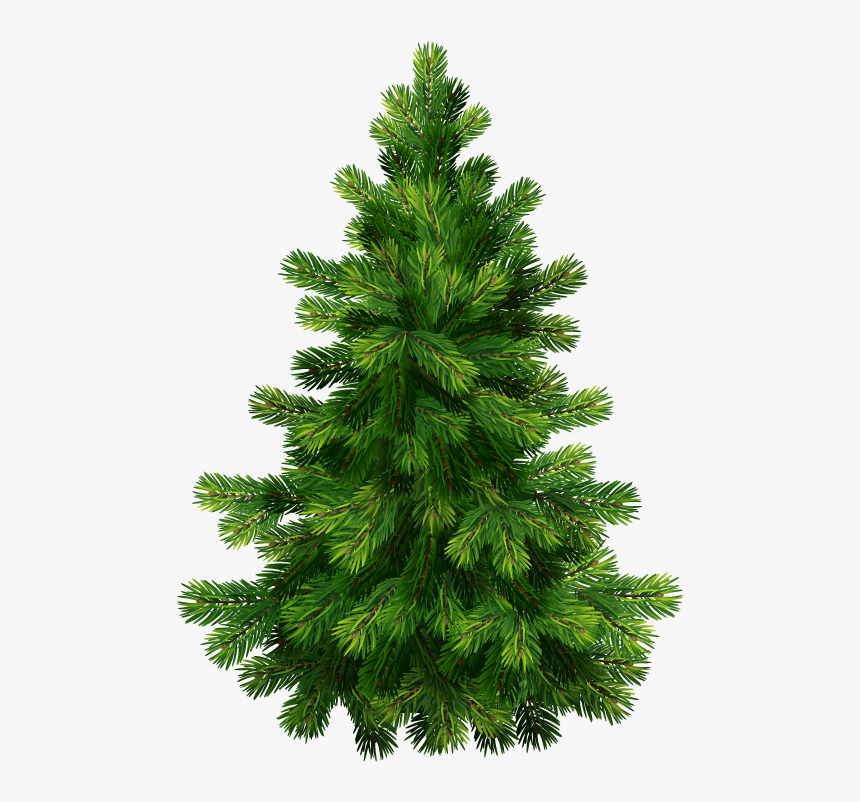 Christmas Tree Free Png Image - Christmas Tree Vector Png, Transparent Png, Free Download