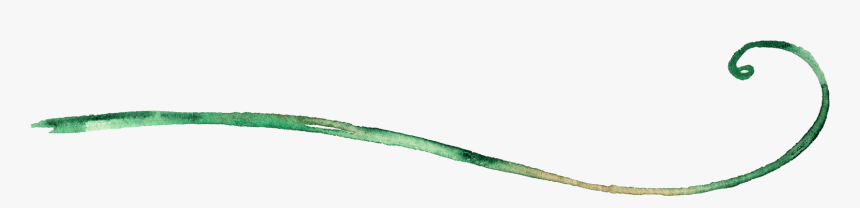 Vine Divider - Bay Pipefish, HD Png Download, Free Download