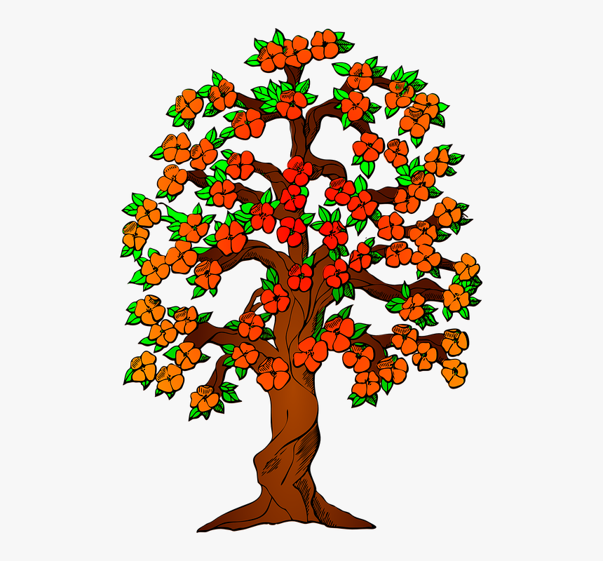 Autumn, Fall, Tree, Leaves, Colorful, Fall Colors - Tree Clip Art, HD Png Download, Free Download