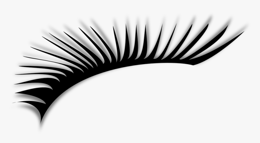 Eyelash, Beauty, Cosmetic, Eye, Fashion, Glamour - Eyelash Cliparts, HD Png Download, Free Download