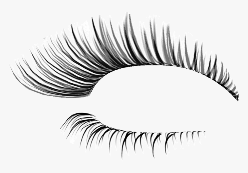 Download Transparent Eyelash Vector Png - Transparent Background ...