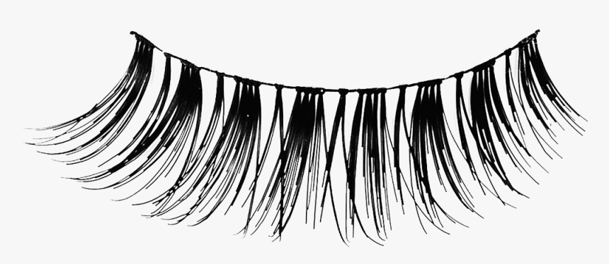 Eyelash Extensions Cosmetics Hair Clip Art - Lash Transparent Background Free, HD Png Download, Free Download