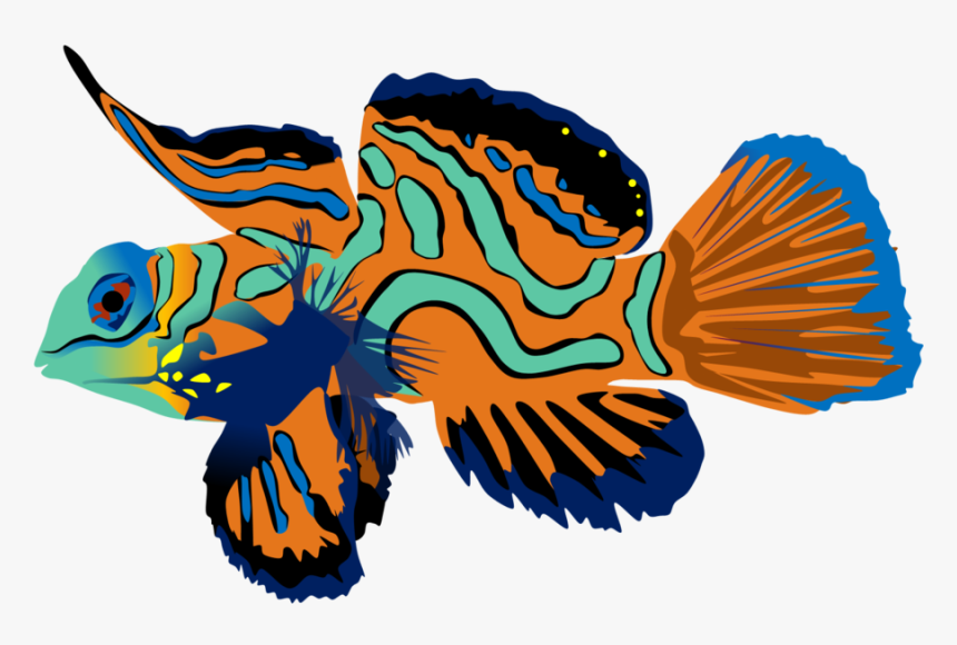 Mandarin Fish Png Clipart Mandarinfish Bony Fishes - Mandarin Fish Png, Transparent Png, Free Download