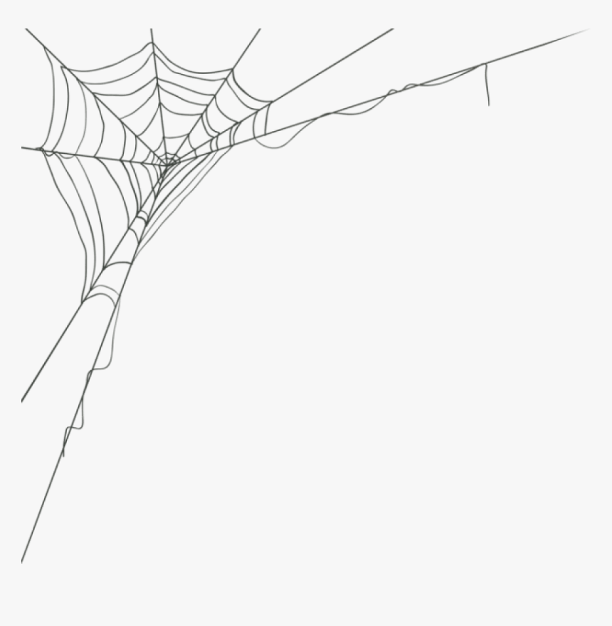 Cobwebs Transparent Drawing - Spider Web Vector Png, Png Download, Free Download