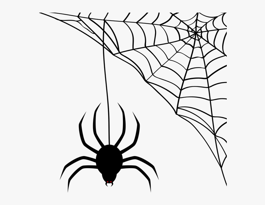 Transparent Spider Web Png Transparent Background - Teias De Aranha Halloween, Png Download, Free Download