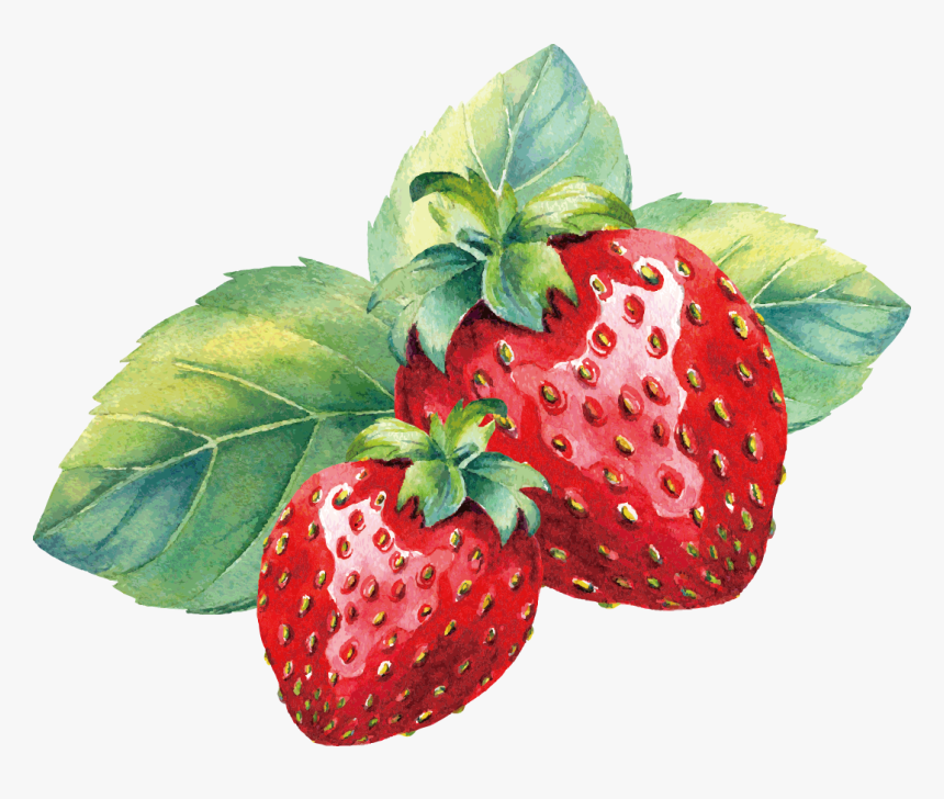 Watercolor Strawberry Png, Transparent Png, Free Download