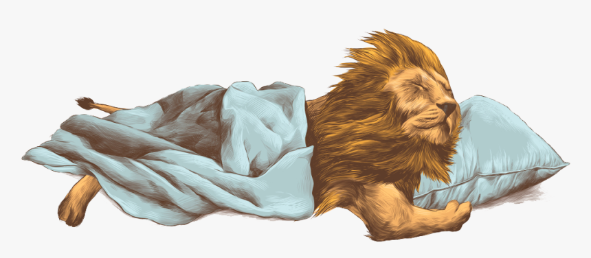 Transparent Lion Png, Png Download, Free Download