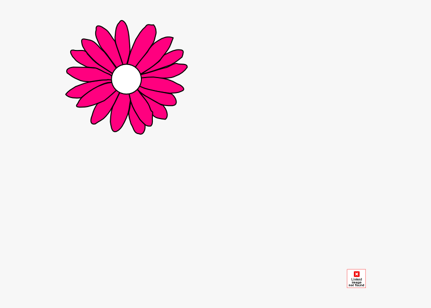 Pink Daisy Png, Transparent Png, Free Download