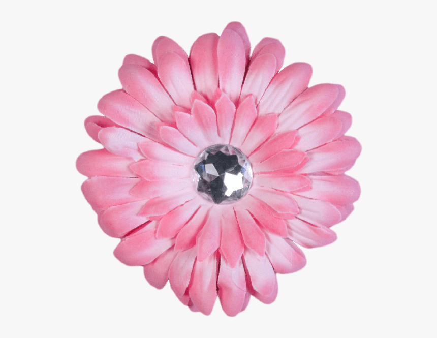 Light Pink Flower Barberton Daisy-, HD Png Download, Free Download