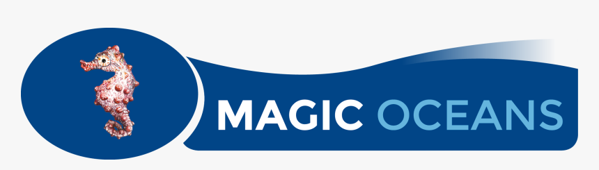 Magic Oceans Dive Resort In Anda Has A Special Offer, HD Png Download, Free Download