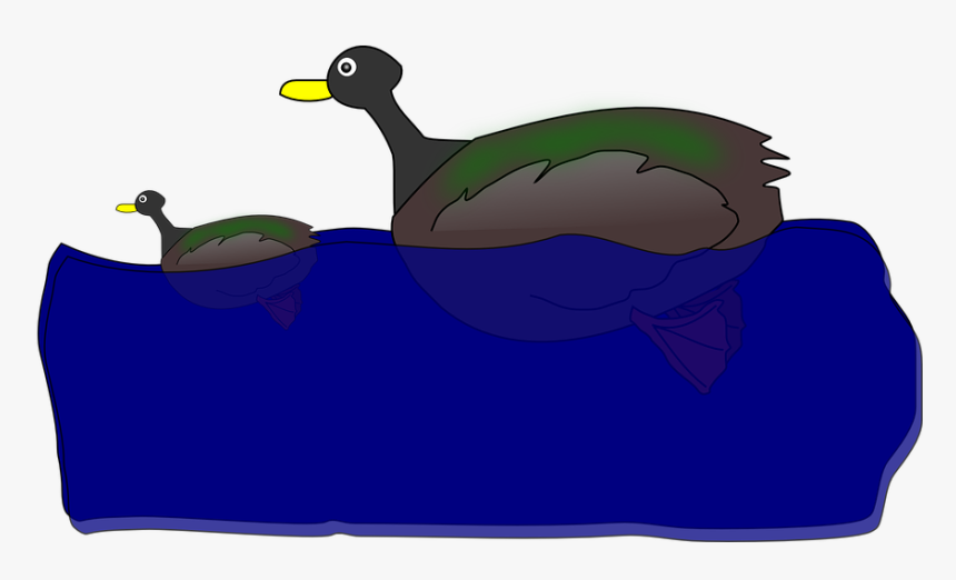 Duck, Duckling, Bath, Swimming, Comic, Cartoon, HD Png Download, Free Download