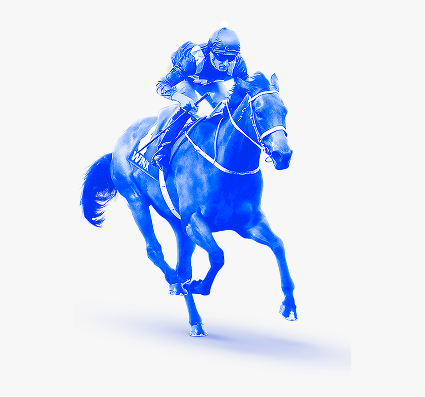 Race Horse Png -horse Running, Transparent Png, Free Download