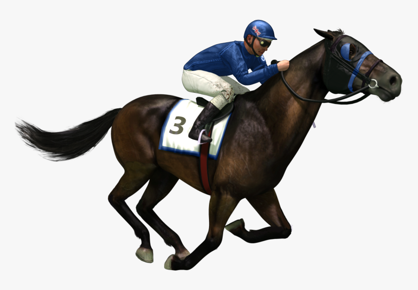 Race Horse Png, Transparent Png, Free Download