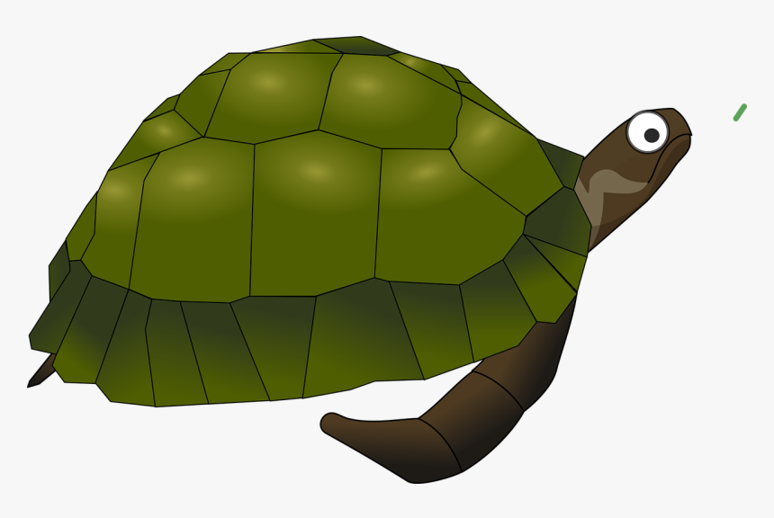 Turtle Cartoon Png, Transparent Png, Free Download