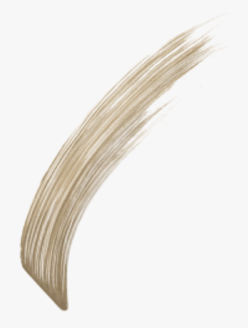 Bushy Eyebrows Png, Transparent Png, Free Download