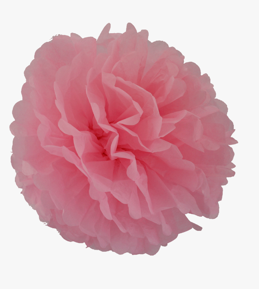 Pom Poms Png, Transparent Png, Free Download