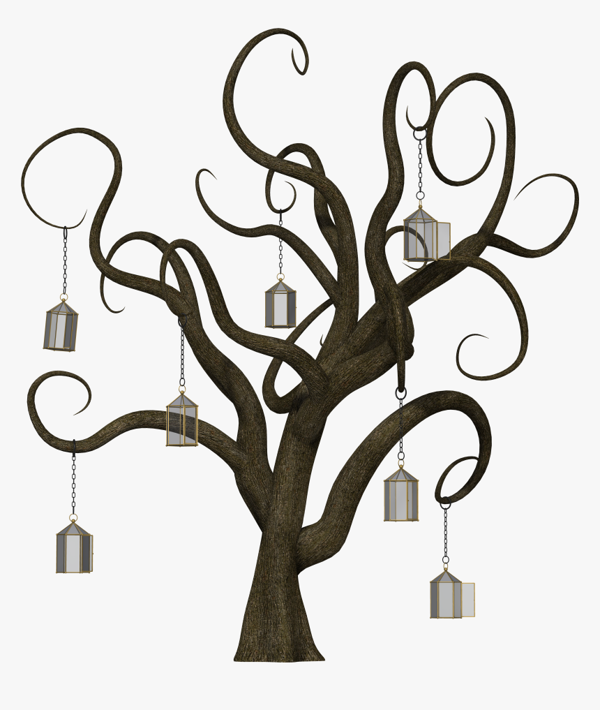 Leafless Tree Png, Transparent Png, Free Download