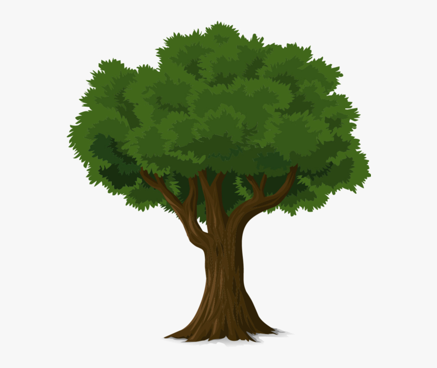 Clip Art Tree Fresh Arbres Page 10 Clipart Pinterest, HD Png Download, Free Download