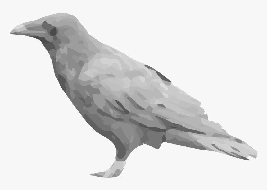 Raven Png, Transparent Png, Free Download