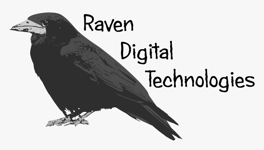 Raven Feather Png, Transparent Png, Free Download