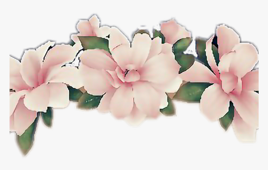 transparent flower headband clipart hd png download kindpng transparent flower headband clipart hd