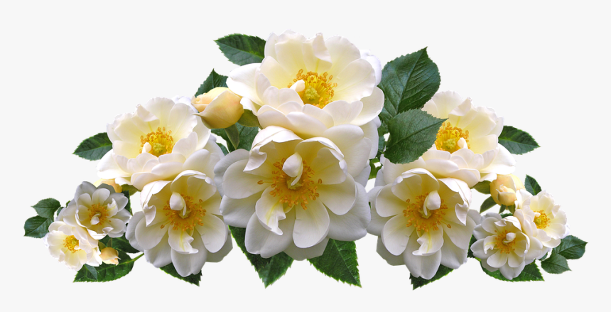 Roses, White, Flowers, Arrangement, Garden, Nature, HD Png Download, Free Download