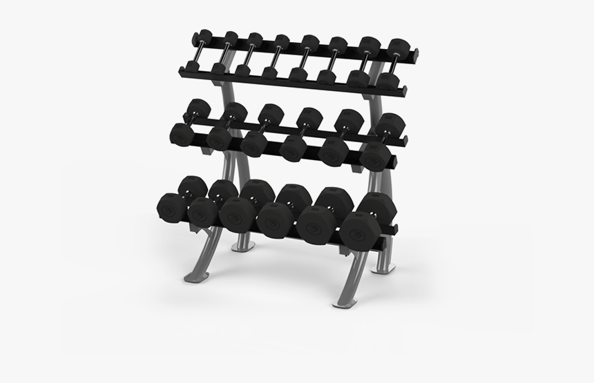 Gym Dumbbells Png, Transparent Png, Free Download