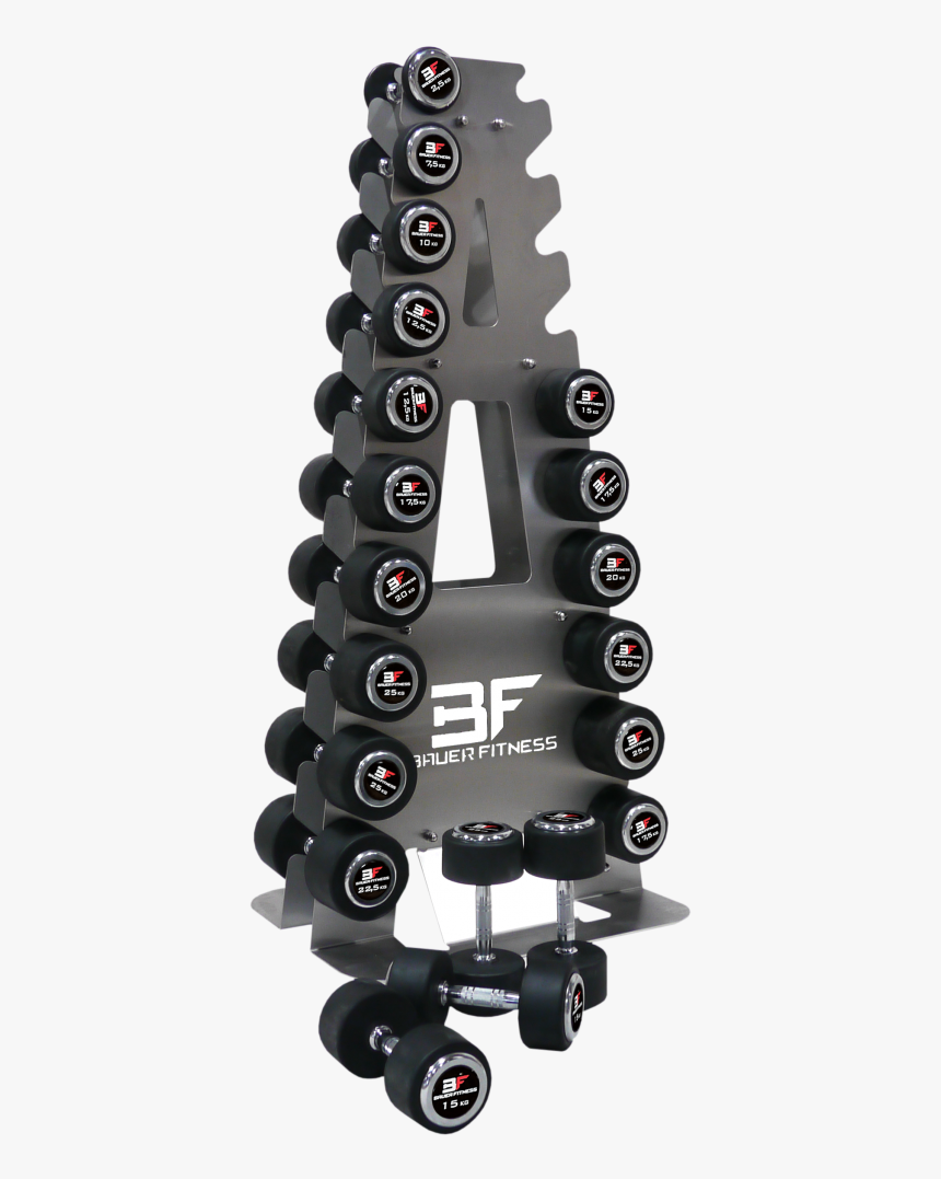 Gym Dumbbells Png, Transparent Png, Free Download