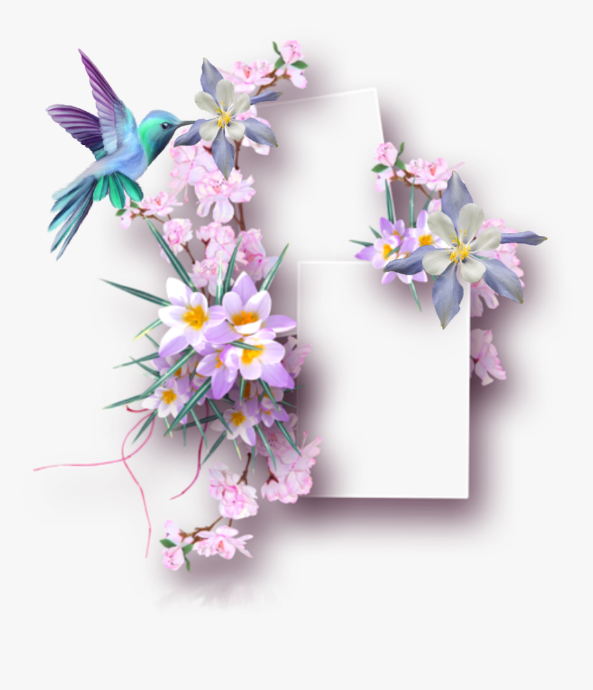 #ftestickers #frame #collage #springflowers #hummingbird, HD Png Download, Free Download