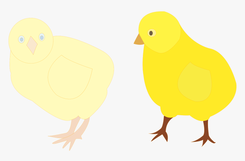 Chicks Png, Transparent Png, Free Download