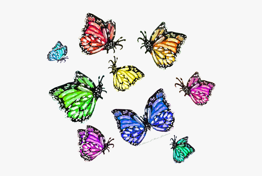 Butterflies Swarm Png, Transparent Png, Free Download