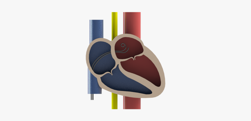 3d Heart Symbol Png, Transparent Png, Free Download