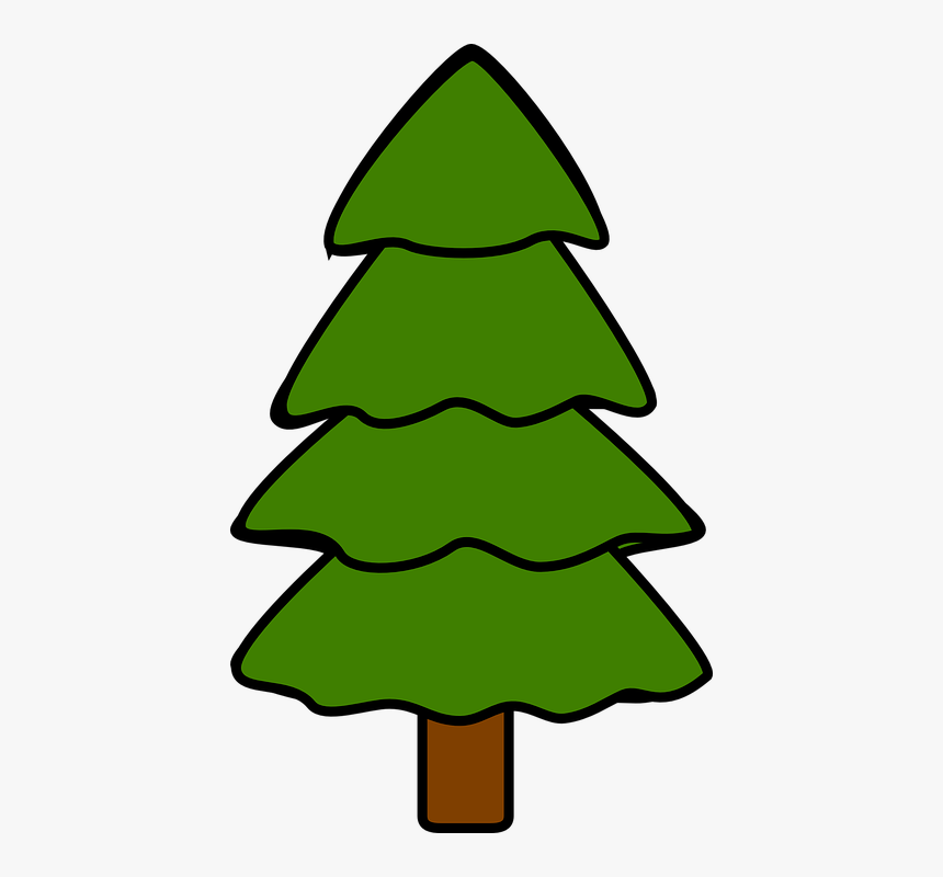 Pohon, Pohon Cemara, Pinus, Cemara, Alam, Kayu, HD Png Download, Free Download