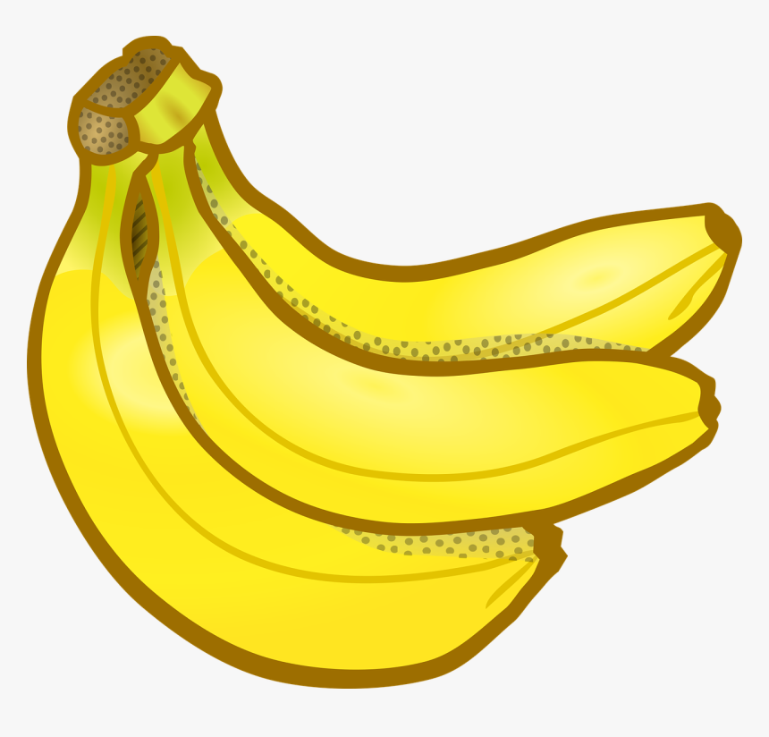 Banana, Bunch, Education, Fruits, School, HD Png Download, Free Download