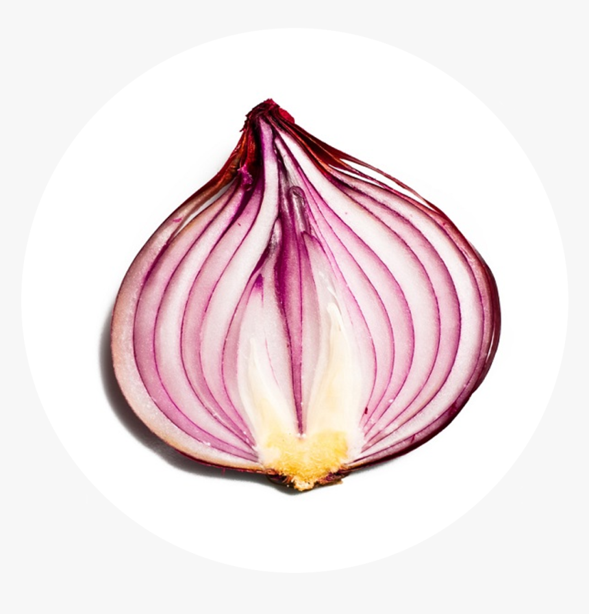 Half Onion , Png Download, Transparent Png, Free Download