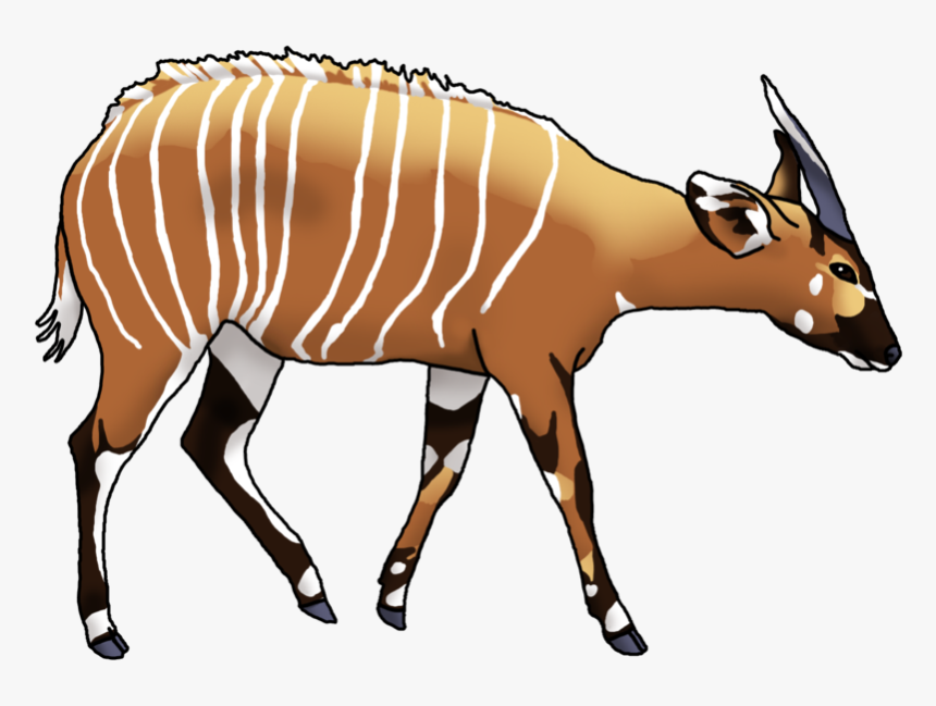 Antelope Bongo Drum Cartoon Drawing Clip Art, HD Png Download, Free Download