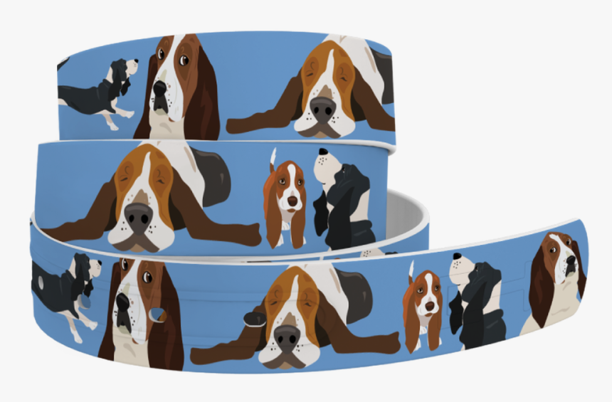 Basset Hound Belt, HD Png Download, Free Download