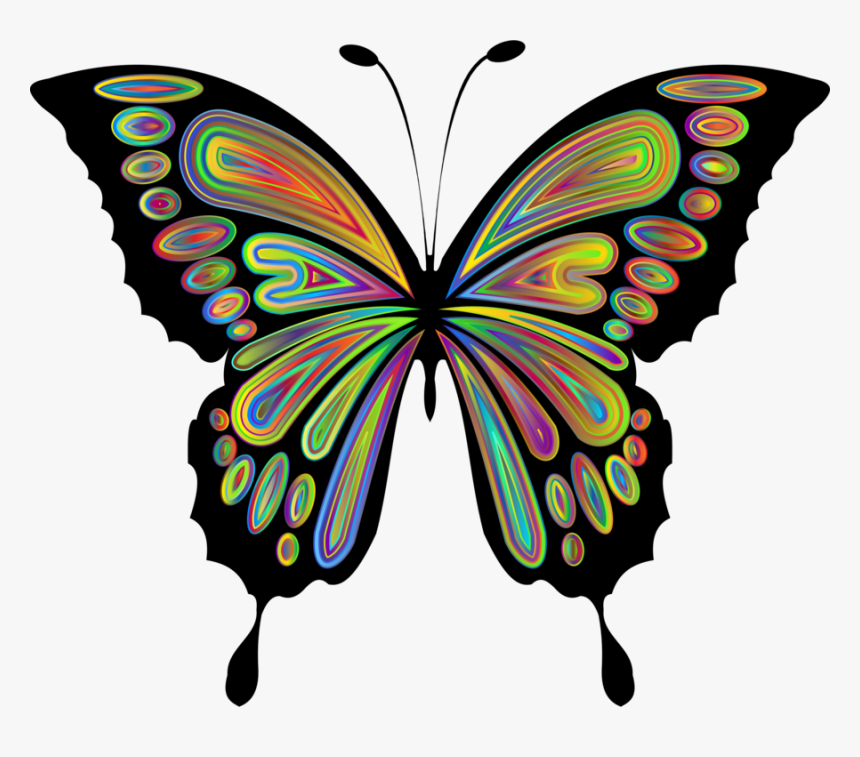 Png Images Butterflies, Transparent Png, Free Download