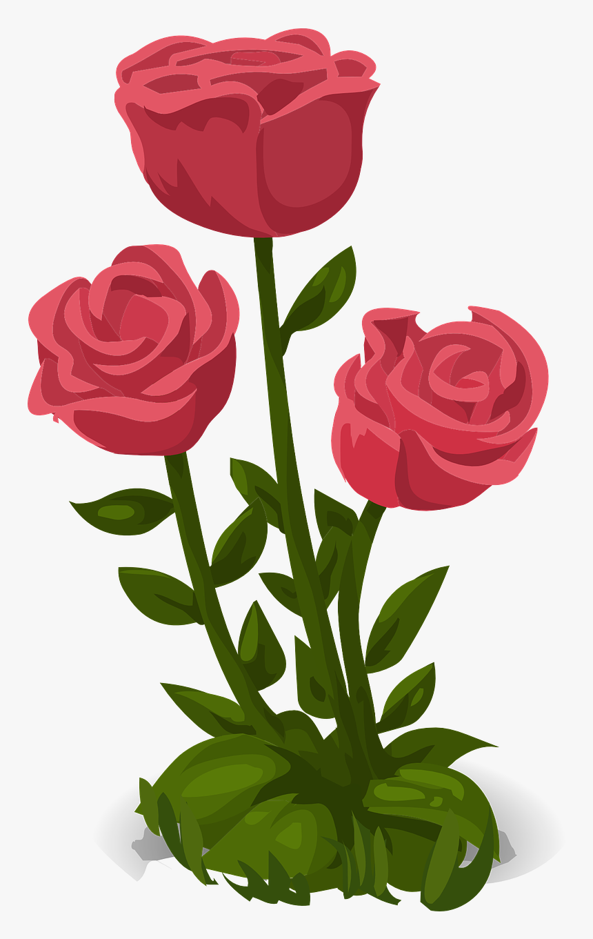 Rose Flower Png File, Transparent Png, Free Download