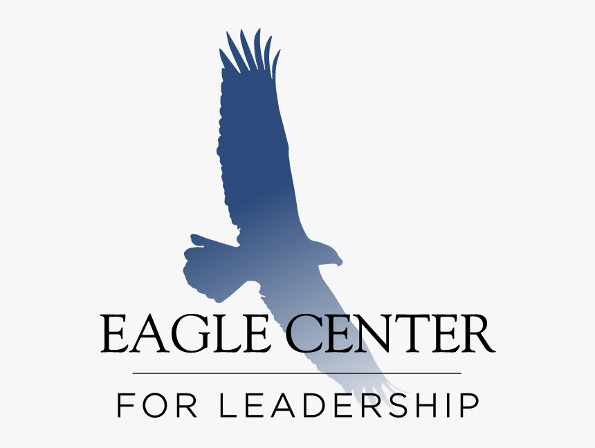 Eagle Sitting Png, Transparent Png, Free Download