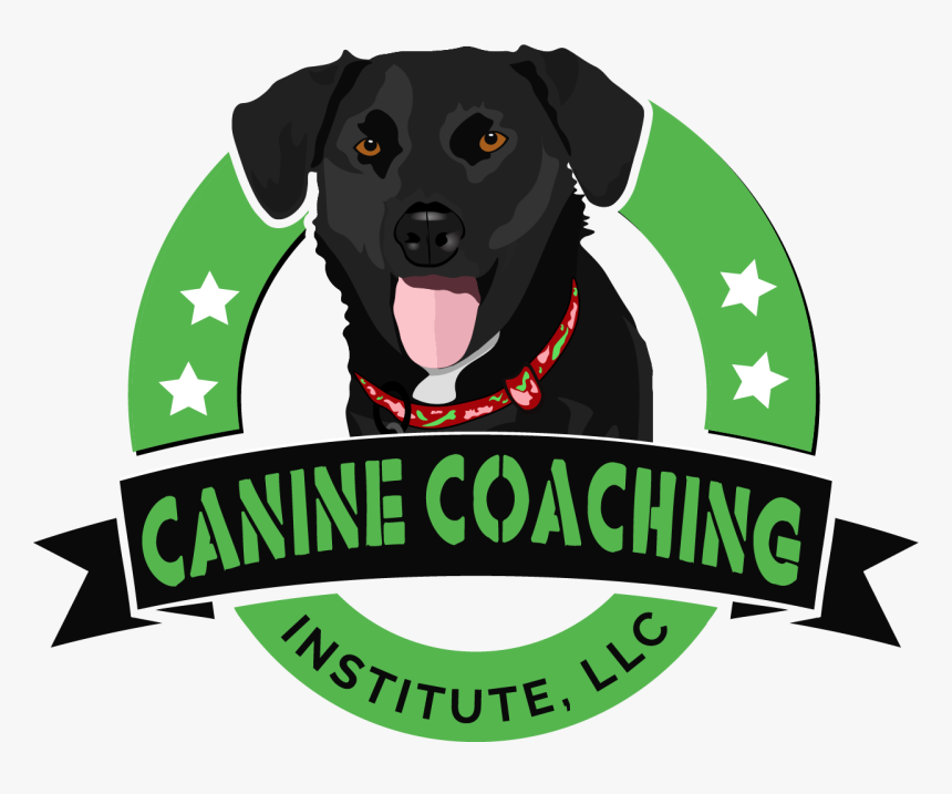 Service Dog Png, Transparent Png, Free Download