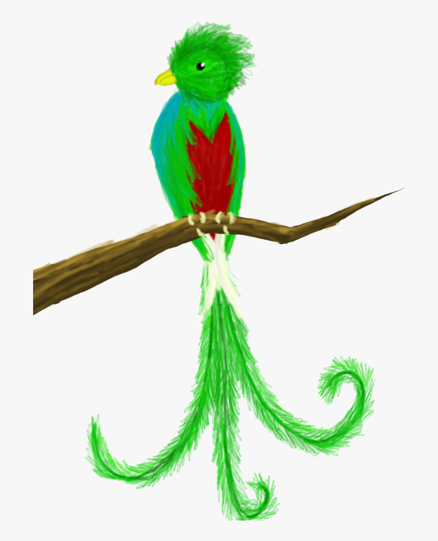 Quetzal Clipart Png , Png Download, Transparent Png, Free Download