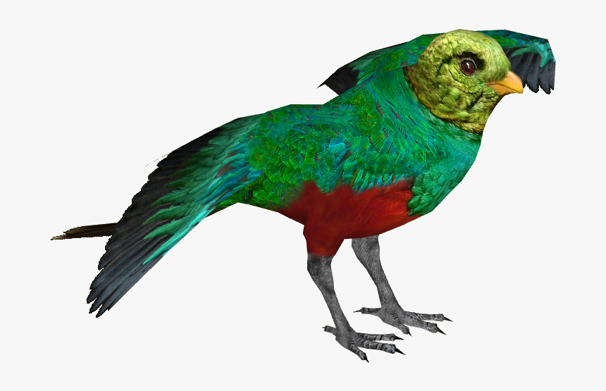 quetzal png transparent png kindpng quetzal png transparent png kindpng