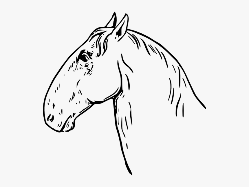 Horse Head Clip Art Vectors Free Vector Image, HD Png Download, Free Download