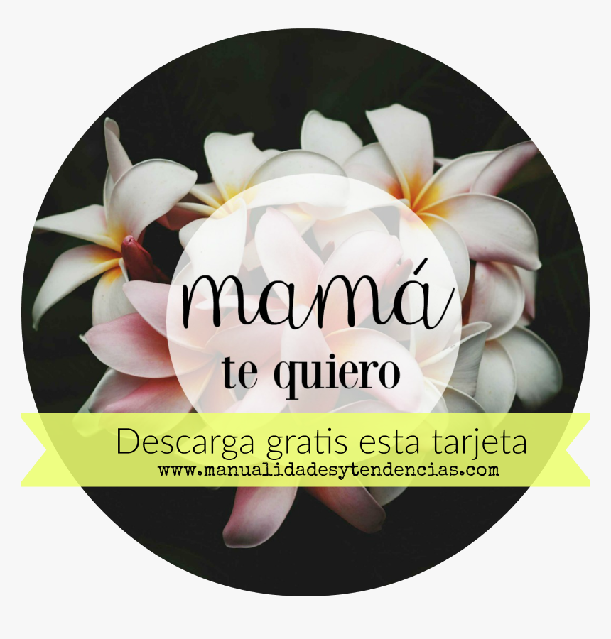 Dia De Las Madres Png, Transparent Png, Free Download