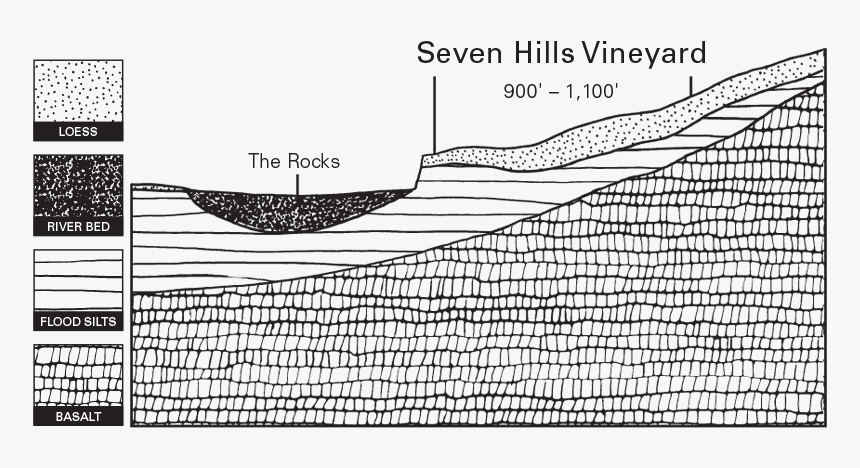 Estate Seven Hills Vineyard Illustration, HD Png Download, Free Download