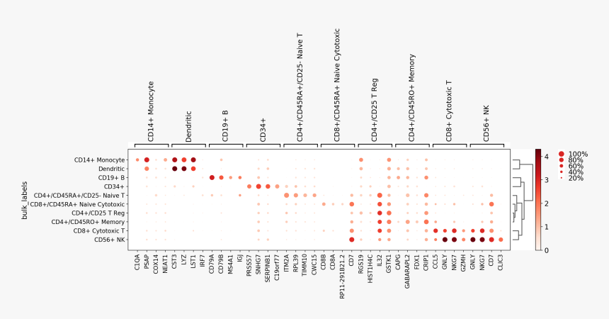 Images/visualizing Marker Genes 49 0, HD Png Download, Free Download